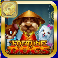 FORTUNE DOGS